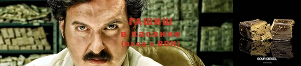 шишки Волоколамск