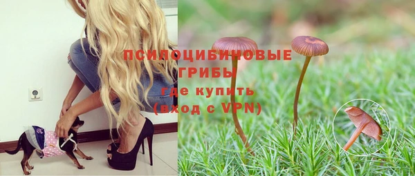 MDMA Premium VHQ Беломорск