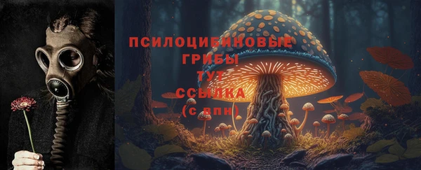 скорость Володарск