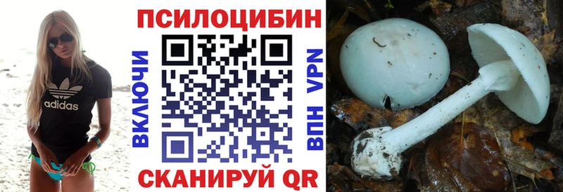 Псилоцибиновые грибы MAGIC MUSHROOMS Борисоглебск